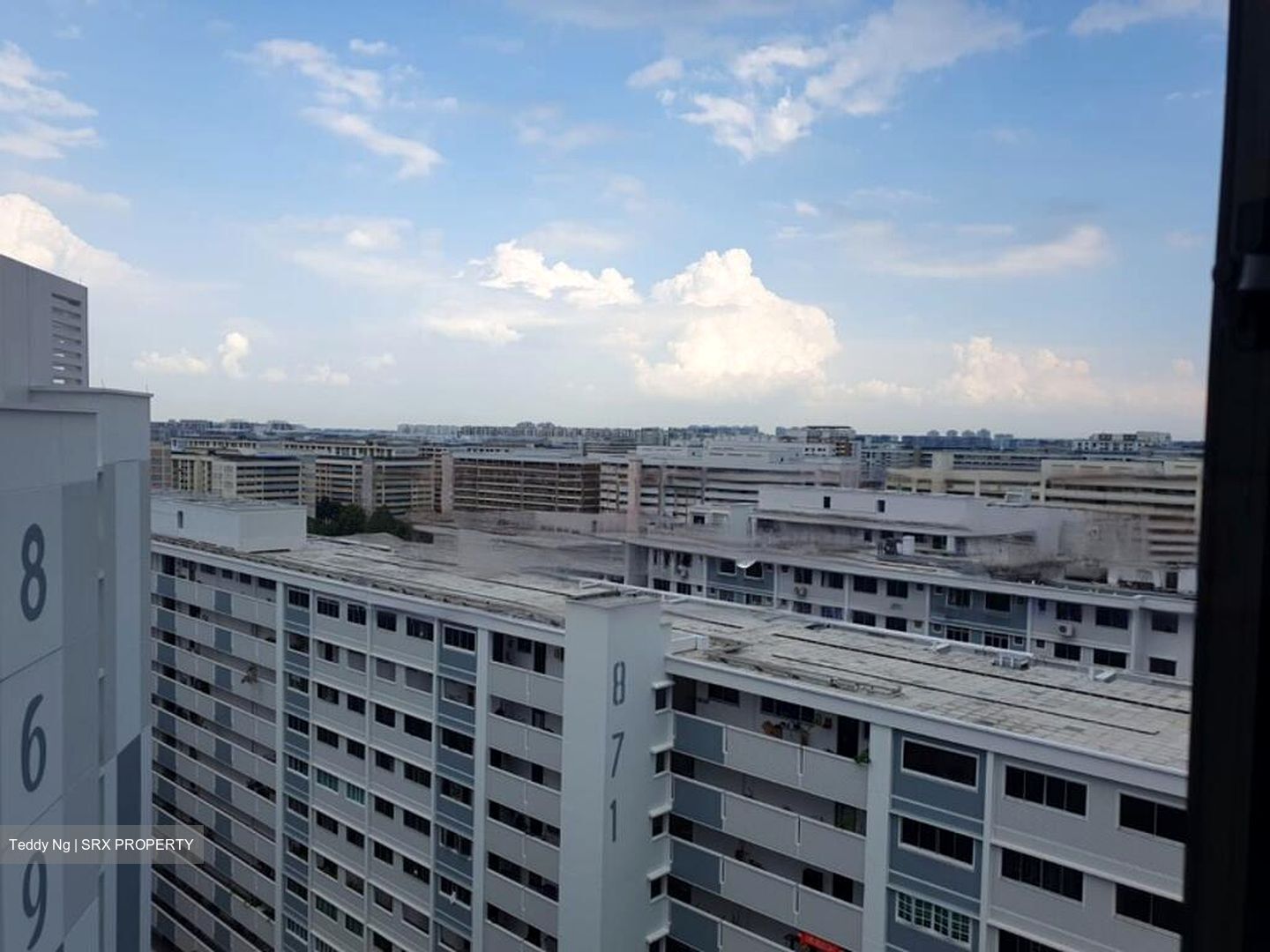Blk 869A Tampines Greenwood (Tampines), HDB 3 Rooms #452541381